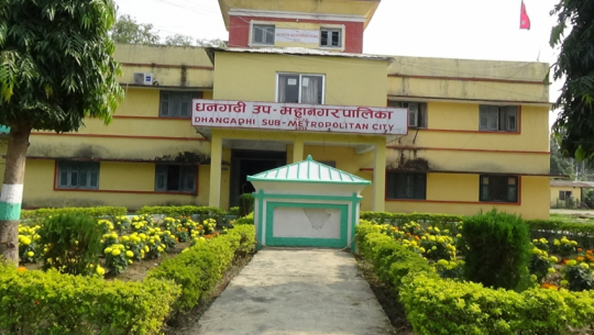 धनगढीमा प्रधानमन्त्री रोजगार कार्यक्रम अन्तरगत नाली सफाई र वृक्षारोपण गरिदै