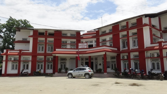कैलाली भन्सारले एक करोड बढि मूल्य पर्ने घडी लिलाम गर्दै