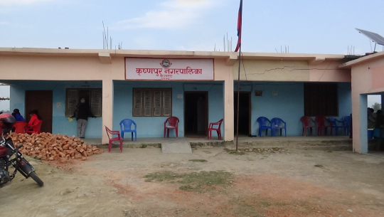 कञ्चनपुरको कृष्णपुर नगरपालिकामा कालोपत्रेको काम सुरु भएन्