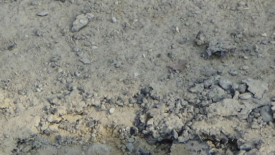 लालझाडी गाउँपालिकाको पहिलो कालोपत्रे सडक एक महिना नपुग्दै भत्कियो