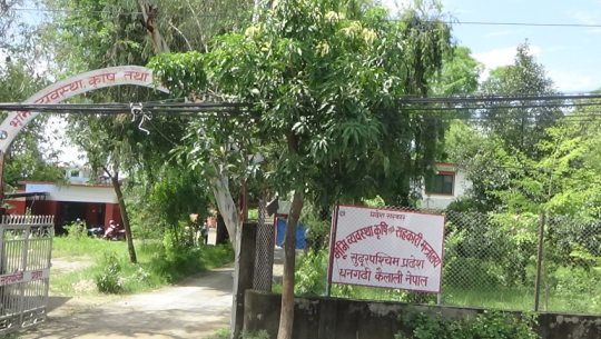 कैलालीका किसानले अनुदान लिए, काम गरेनन्