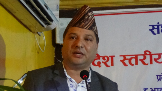 मन्त्री र पार्टीबाट बर्खास्त सोडारीको सांसद पद के हुन्छ ?