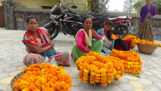 भाइटीकाको व्यग्र प्रतिक्षा, टीकाको उत्तम साइत ११ बजेर ५५ मिनेटमा