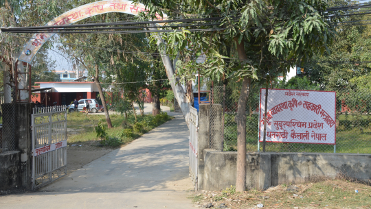 सुदूरपश्चिम सरकार कृषि कर्जा प्रदान गर्न असफल