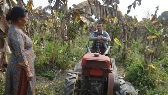 सतप्रतिशत अनुदान दिँदा पनि कृषि बिमा गर्न कैलालीका किसान अनिच्छुक