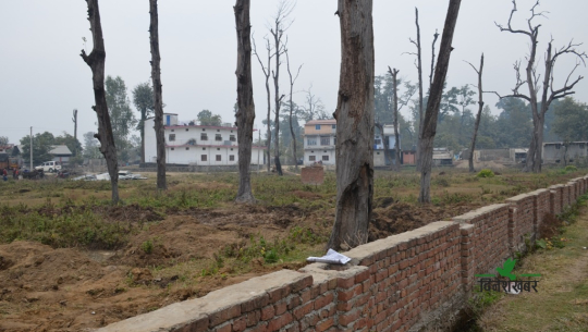 कैलालीमा सव डिभिजनसँगै रहेको वन अतिक्रमण गर्न प्रतिस्पर्धा
