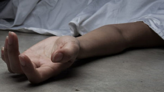 सवारी दुर्घटनामा परी कोरियामा एक नेपालीको मृत्‍यु