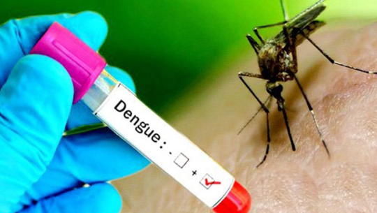 कञ्चनपुरमा डेंगु रोगको सङ्क्रमण बढ्दो