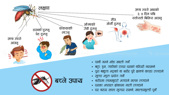 डेंगी रोगबाट बच्न तत्काल आवश्यक सूचना प्रवाह गर्न सरकारलाई आदेश