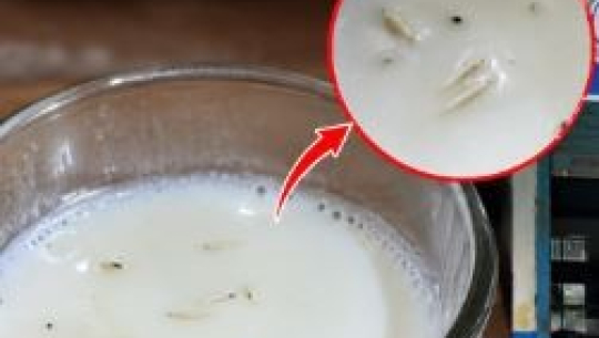 कैलालीमा एक डेरीको दूधमा किरा भेटियो 