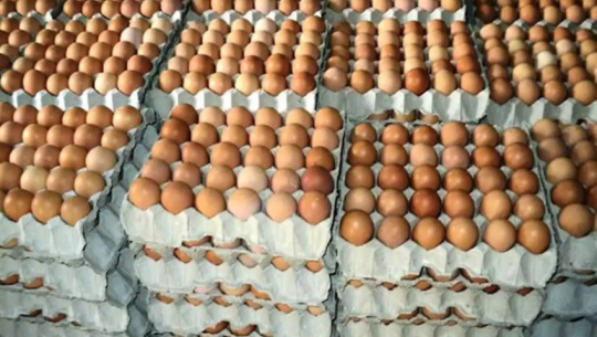 From foreign employment to local entrepreneurship: Dharmendra Rana earns Rs 250,000 a month from egg production