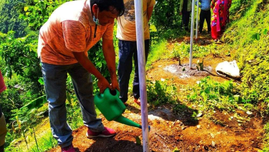 दार्चुलाको नौगाडमा ड्रागन फ्रुट खेती सुरु