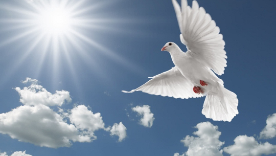 उडिरहेको चराको दिशा शरीरमा पर्नु शुभ कि अशुभ ?