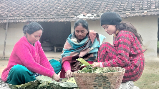 दुनाटपरी बनाउँदै