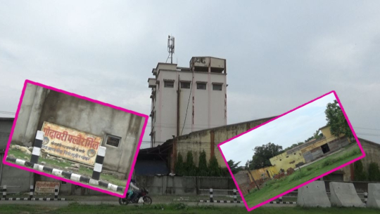 धनगढीका बासिन्दा फ्लोर मिल र एग्रो उद्योगको प्रदुषणबाट हैरान