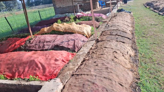 गड्यौलाको मल उत्पादन गरी आत्मनिर्भर बन्दै सिंह