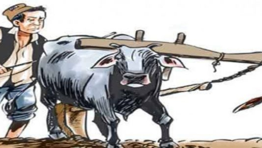 मुक्त हलिया पुनःस्थापनाको नीति निर्माण गर्ने प्रतिबद्धता