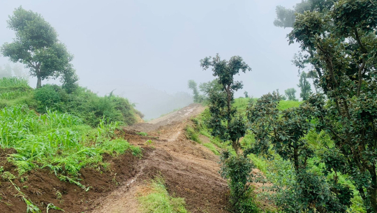 बैतडीको श्रीभावर–हाट सडकमा पहिरो खसेपछि...