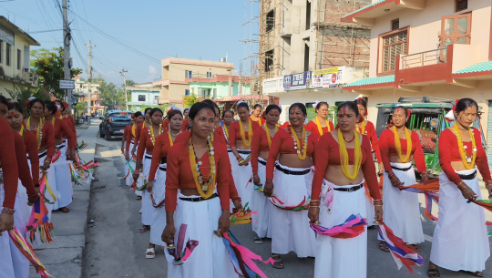 मादलको तालमा गुञ्जिन्छ सखिया नाच, थारू संस्कृतिको पुस्तान्तरण