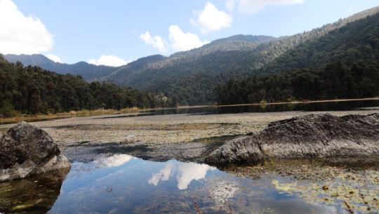 ‘राज्यले मलाई चिन्न सकेन या देखेन ?’