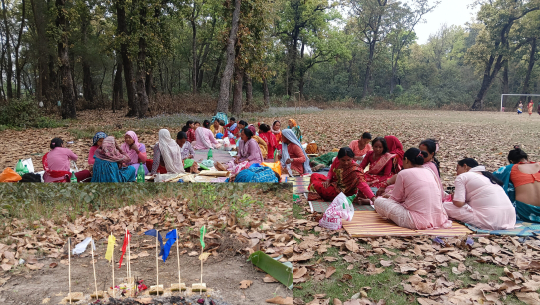 राना थारू समुदायले मनाए चैतकी चराई पर्व