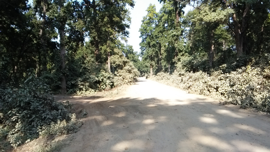 Road condition causing problems in Kanchanpur district