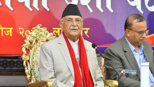 पार्टी सङ्गठन सुदृढीकरण र जनपरिचालन गर्दै एमाले