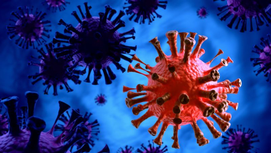 सुदूरपश्चिममा दुई जनामा कोरोना संक्रमण पुष्टि