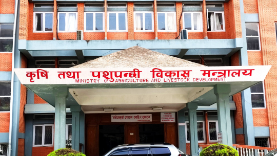 चैते धानको न्यूनतम समर्थन मूल्य कार्यान्वयन गर्न मन्त्रालयको आग्रह
