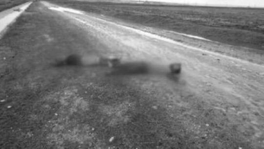 फाइल फोटो 