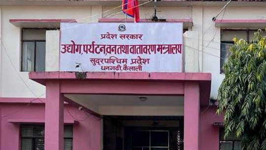 सुदूरपश्चिमको वन पैदावार आपूर्ति समितिमा तीन जना मनोनयन