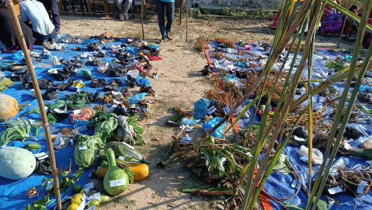 बोगटान फुड्सिलमा रैथाने बालीको संरक्षणका लागि प्रदर्शनी मेला 