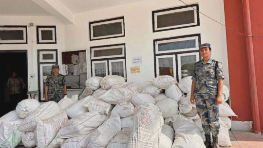 बेलौरीबाट तस्करीको ४० क्विन्टल तोरी बरामद 