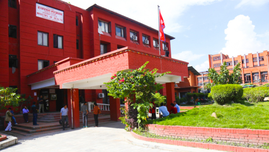 संघीय सरकारको बदमासी, कैलालीमा ८ पालिकाका स्वास्थ्य कर्मचारी आन्दोलित