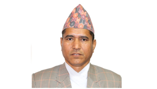 महालेखापरीक्षकमा राया सफारिस