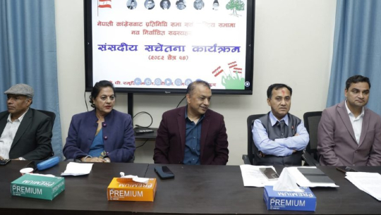 भदौ २३–२४ घटनामा सरकारको व्यवहार ‘चयनमुखी’ : नेपाली कांग्रेस 