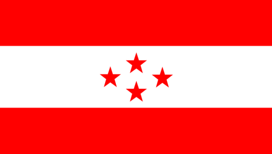 Nepali Congress registers 5 direct and 8 proportional candidates in Kailali-1