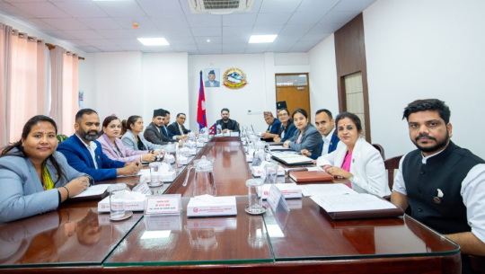 धितोपत्र बोर्ड अध्यक्ष सिफारिस समिति गठनदेखि विभिन्न विधेयक संसदमा पेश गर्ने निर्णय