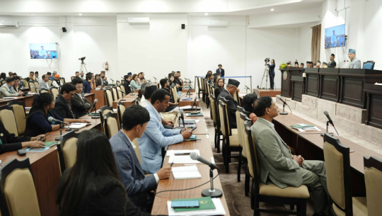 House of Representatives passes two election-related amendment bills unanimously