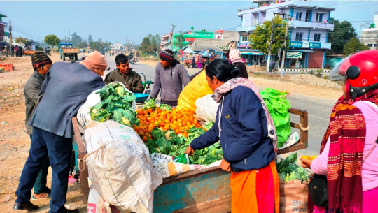 कञ्चनपुरमा तरकारी किनमेल