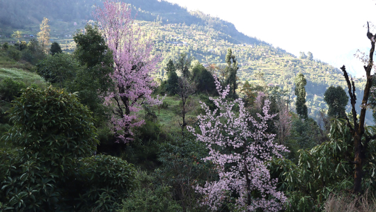 देशभरको मौसम सफा रहने पूर्वानुमान
