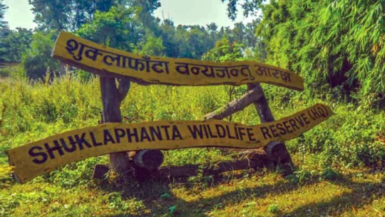 शुक्लाफाँटा निकुञ्जको करिब ५१५ हेक्टर जमिन अतिक्रमण