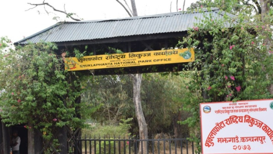 शुक्लाफाँटामा बाघ संरक्षणमा चुनौती