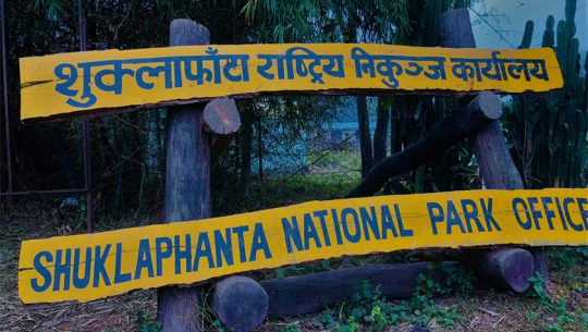 शुक्लाफाँटाबाट विस्थापितका समस्या समाधानको प्रयासमा सरकार