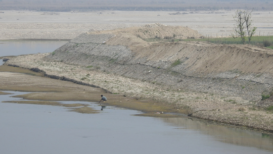 बर्दगोरियाकाे छ वटा खोलामा तटबन्ध निर्माण