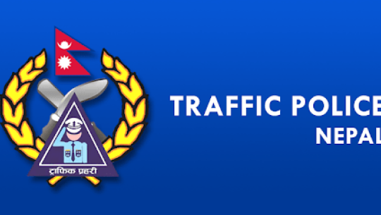 Pick-up trucks to accomodate not more than five in Doti