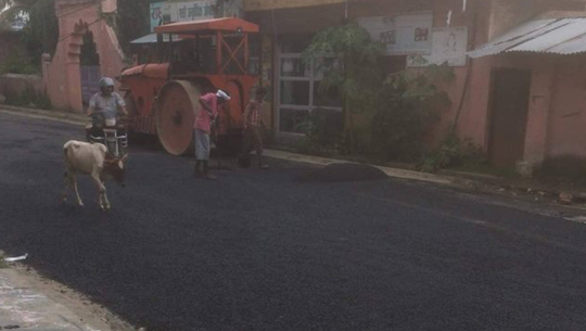 सडक कालोपत्रेको काम भारतीय कामदारको भरमा