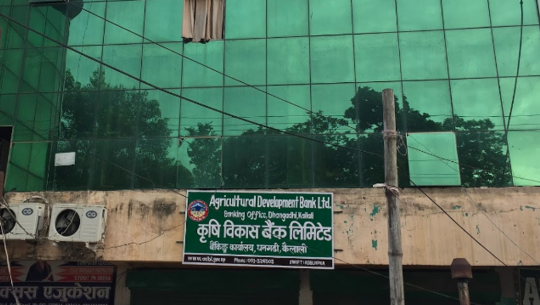 सुदूरपश्चिममा कृषि विकास बैंकको कृषिमा लगानी २२ प्रतिशत मात्रै