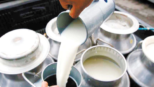 एक करोड १५ लाख लिटर दूध प्रशोधन