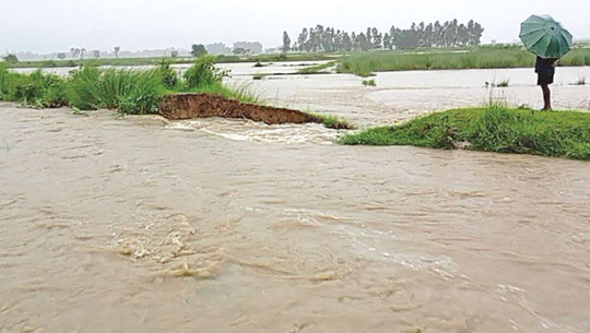 देशभर ३९ जिल्लामा आकस्मिक बाढीको जोखिम